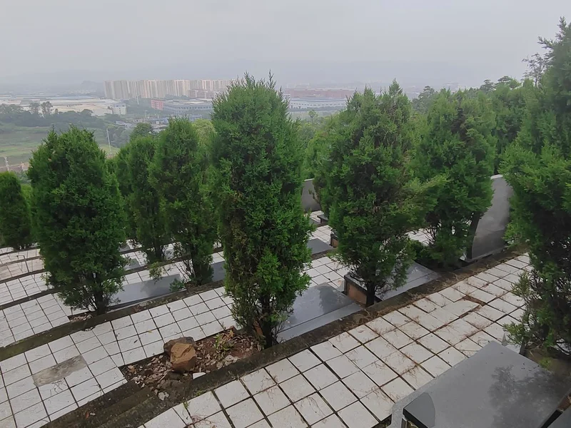殡仪服务，传承礼仪，慰藉亡灵