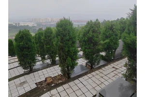 殡仪服务，传承礼仪，慰藉亡灵