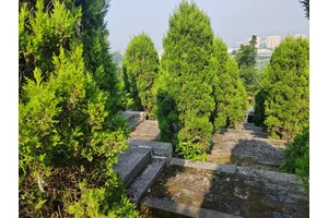 仙山门票的奇幻之旅